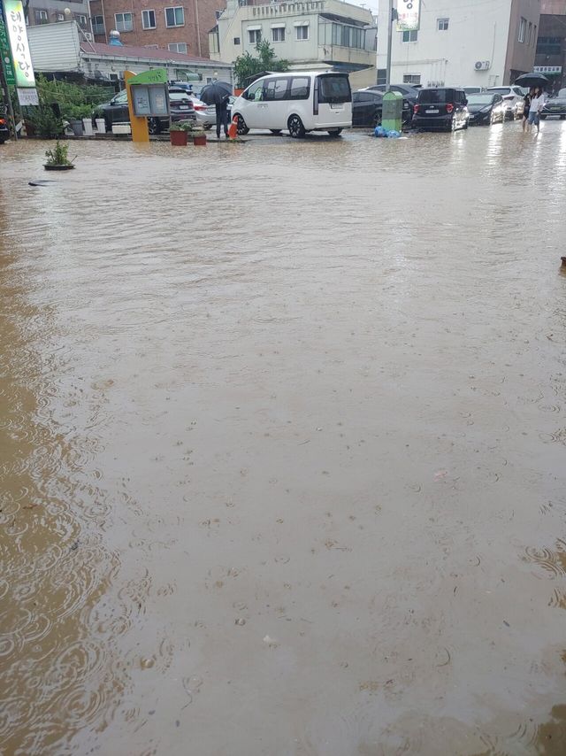 20250717_182200.jpg 본인 시발 ㅈㄴ 불쌍하면 개추좀 ㅋㅋㅋㅋㅋㅋㅋㅋㅋㅋㅋ