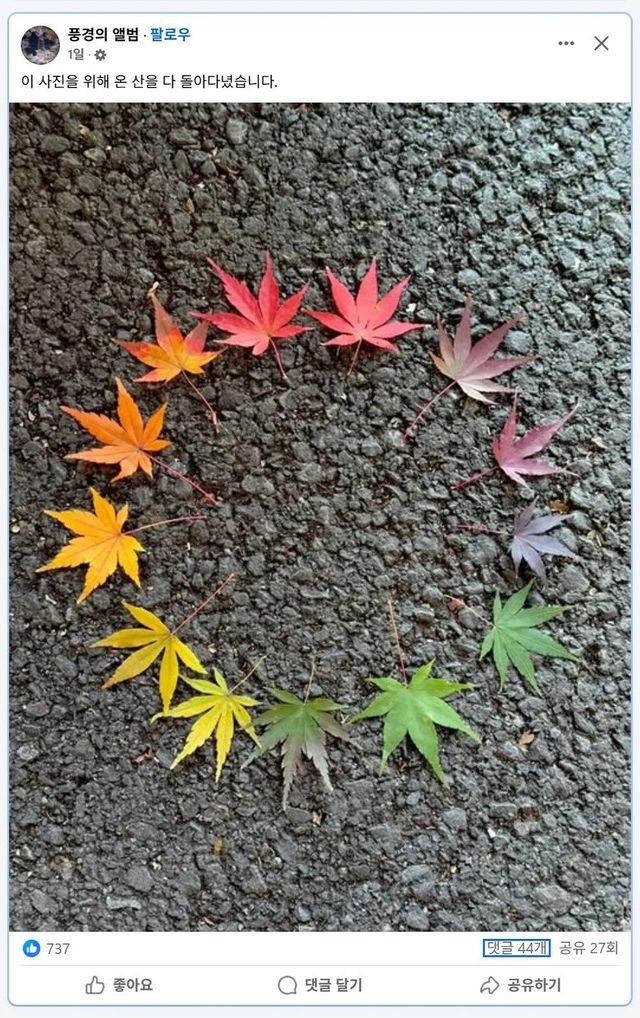 5a2685dfbf95c3d76b98cf3a8a78ff2f.webp.ren.jpg 사진 한 장을 위해 온 산을 다 돌아다닌 사람.JPG