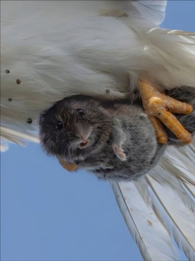 현재 해외에서 화제가 되고 있다는 사진작가가 찍은 사진