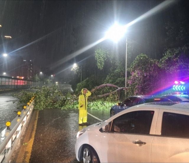 Screenshot_20250718_111000_Gallery.jpg 이번 주 대한민국 경찰 근황