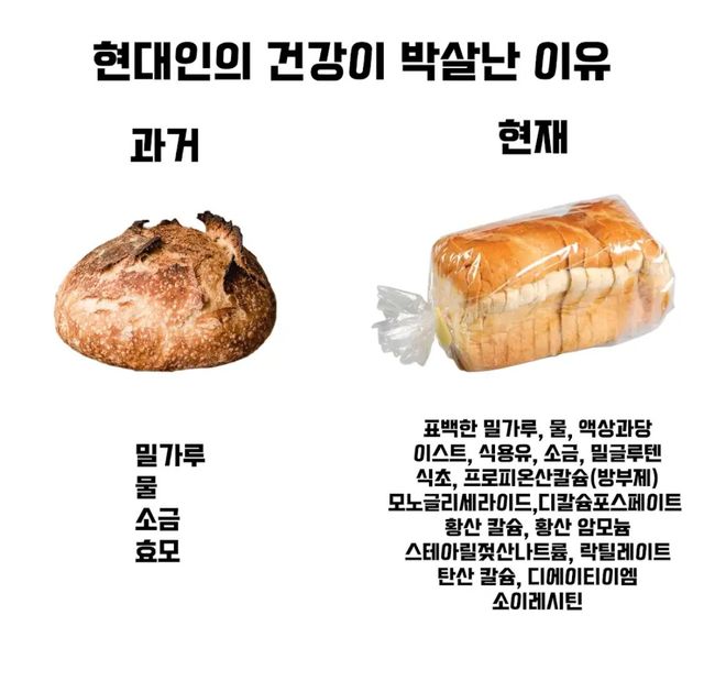 IMG_3456.jpeg 현대인들의 건강이 박살난 이유.jpg