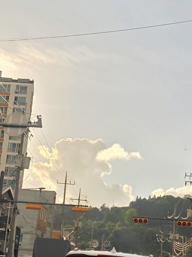 20250721_183430.jpg 지리는거 찍음