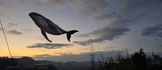 나도 오늘 오전에 지리는거 찍음