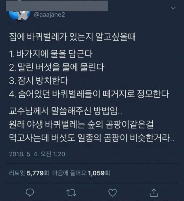 9be848c4ec1e6522f9c53bdee284b7448ea89a7d.webp.ren.jpg 집에 바퀴벌레가 있는지 알고싶을 때.