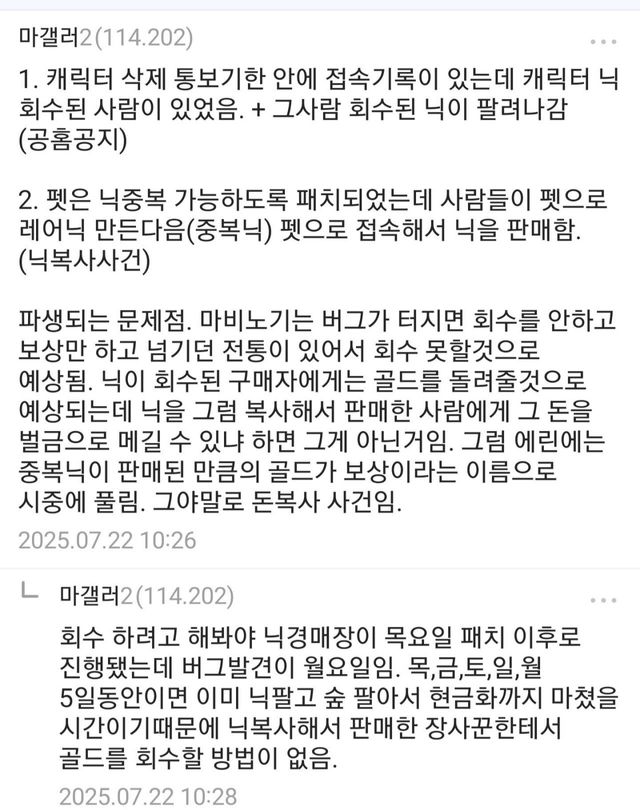 game_mabinogi1-20250722-105127-000.jpg 혼란의 마비노기 근황.jpg