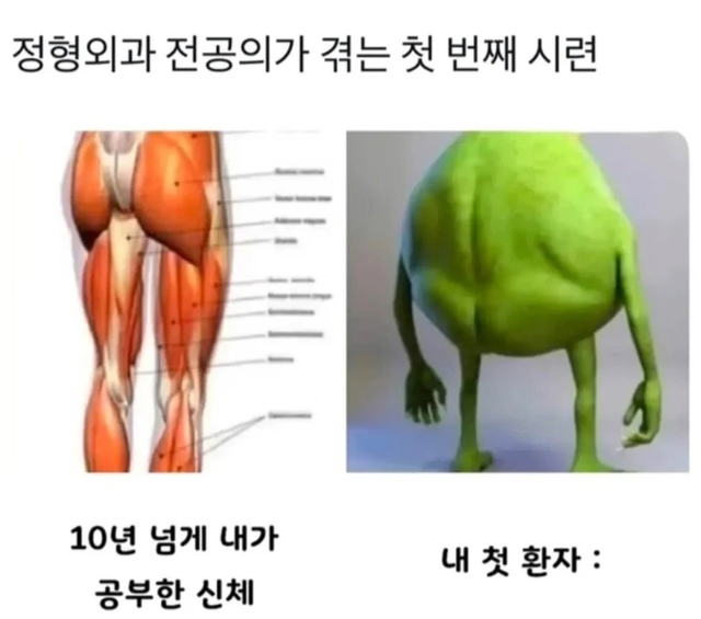 8665842054_486616_2821e302b1a24f9435b344bfa56f3e90.png 정형외과 전공의가 겪는다는 첫 번째 시련.jpg