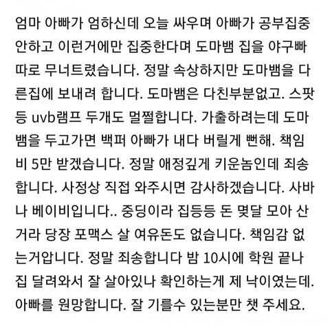 download (56).png 책임비 5만원 받고 동물나눔 하려는 중학생