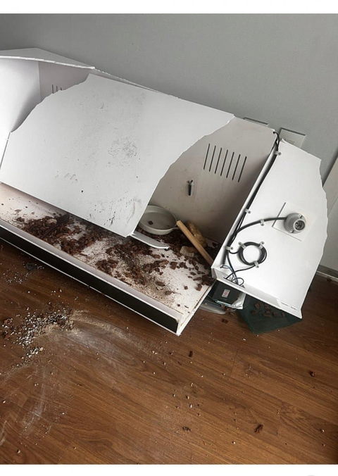 download (57).png 책임비 5만원 받고 동물나눔 하려는 중학생