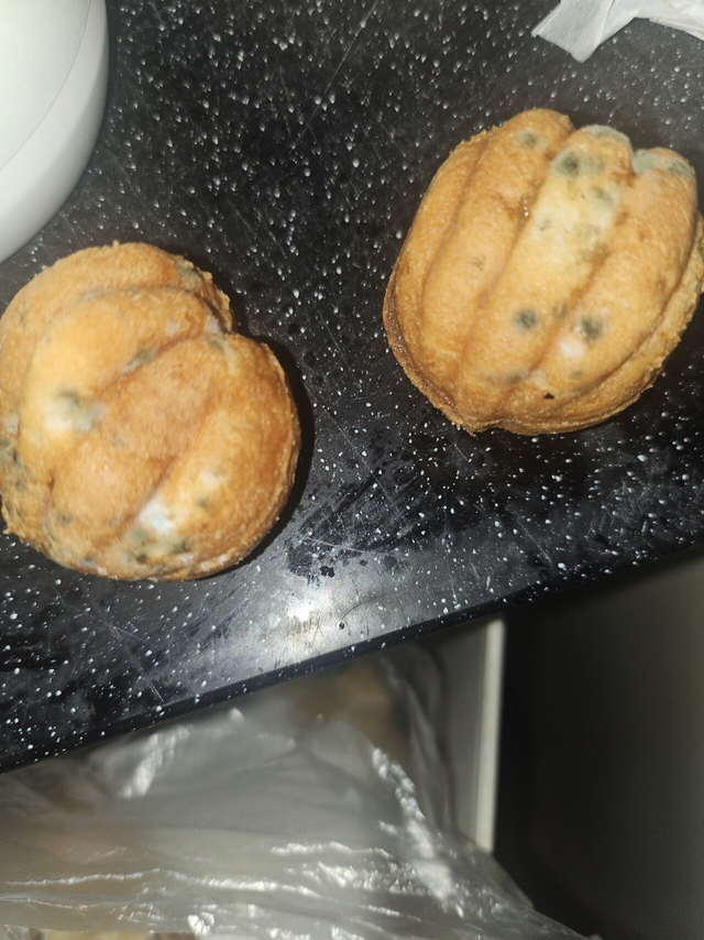 image.png 어제 이런거 세개나 처먹었는데도 아직 특별한 신호가 없음 jpg