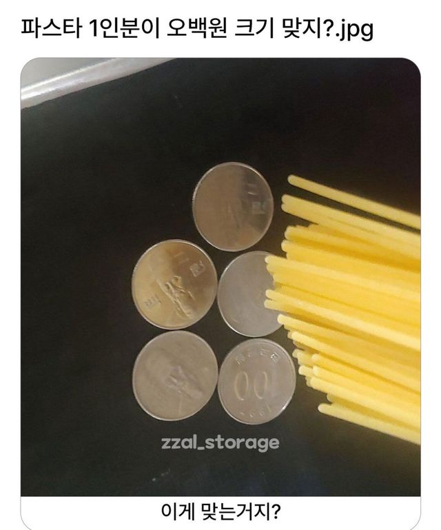 파스타 1인분이 500원 크기 맞지?