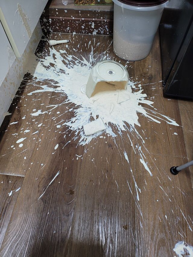 20250727_163141.jpg 하 시팔 사람은 역시 살던대로 살야야해