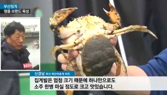 image.png 현재 외래종 때문에 난리라는 부산 근황. jpg