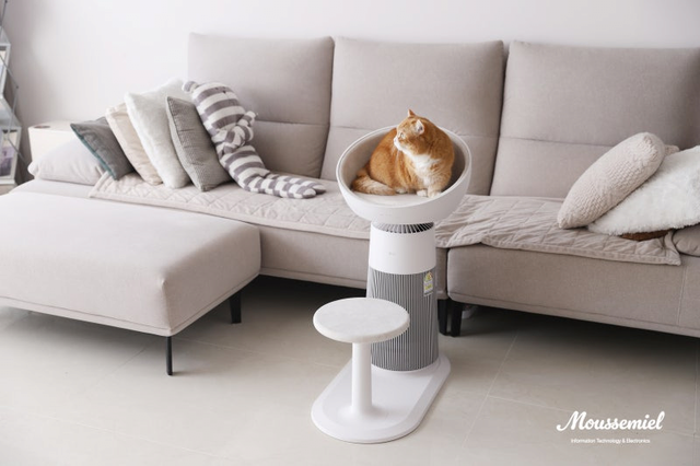 image.png 고양이 집사 타겟으로 만든 LG 공기청정기 + 켓돔