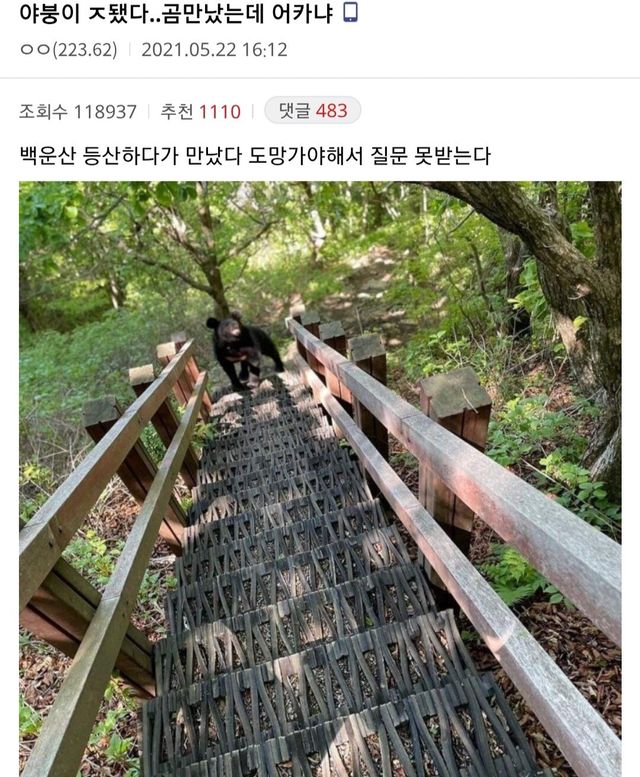 진짜 ㅈ된 와중에 할건 해야하는 야붕이 ㅋㅋㅋㅋ