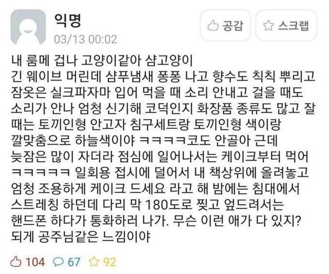 귀족고양이같은 룸메.jpg