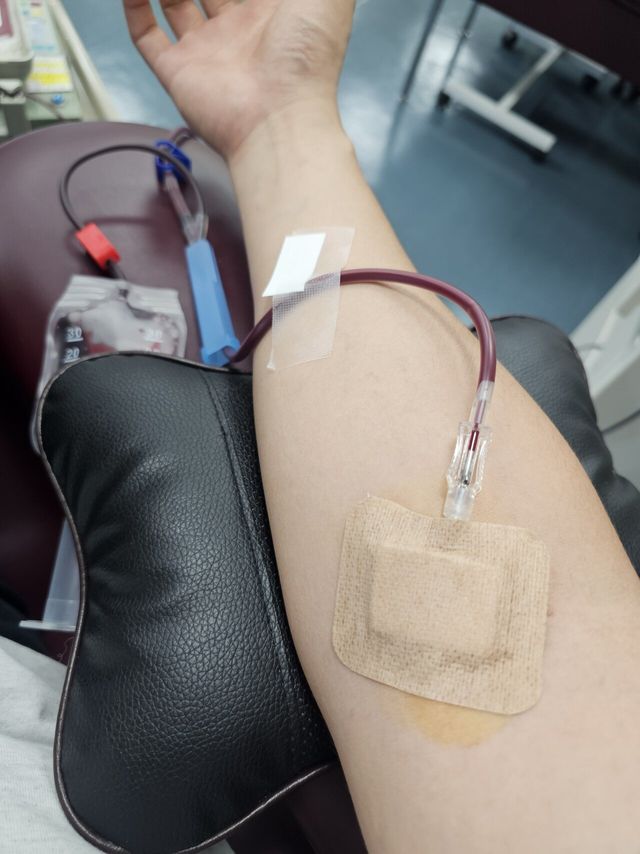 투구게 20회차 (온니 전혈)