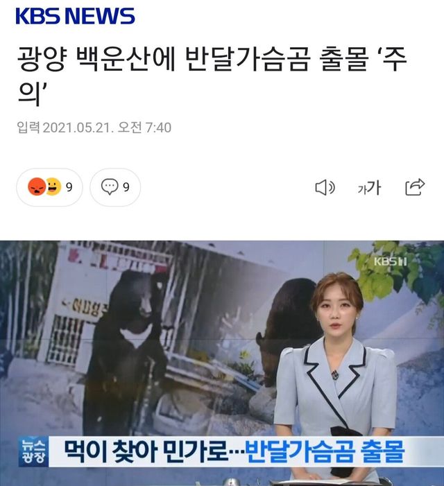 진짜 ㅈ된 와중에 할건 해야하는 야붕이 ㅋㅋㅋㅋ