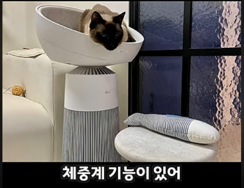 image.png 고양이 집사 타겟으로 만든 LG 공기청정기 + 켓돔