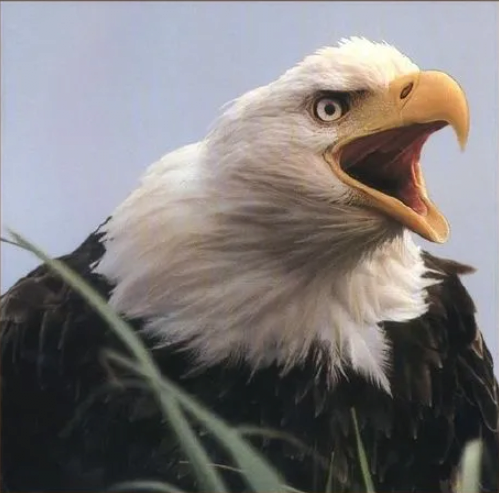 2.png 버블 경제 시절 일본의 오만함을 알 수 있는 책