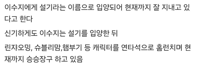 image.png 산책로 화장실에서 발견된 한 강아지. jpg