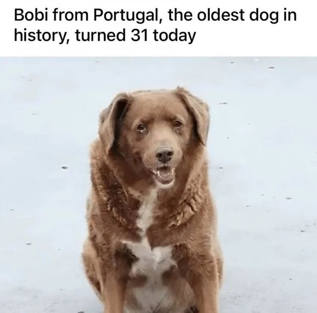 955d721a04e3c4e17d0c1473d7a42ffa.webp.ren.jpg 31살 생일이라고 전세계에서 축하받음.