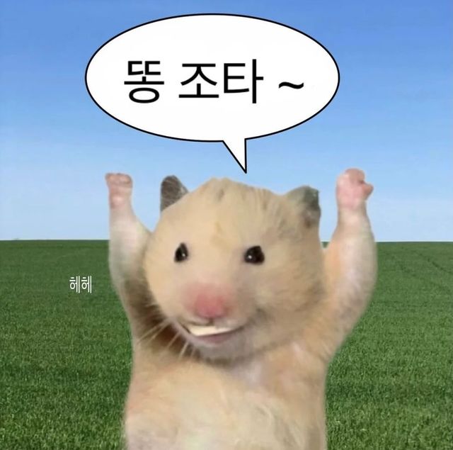 절대 타조 똥을 거꾸로 말하지 마세요.jpg