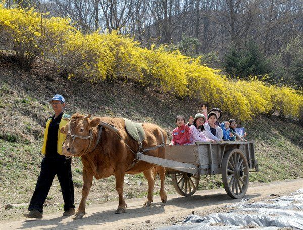 자동차는 지킨 대한민국