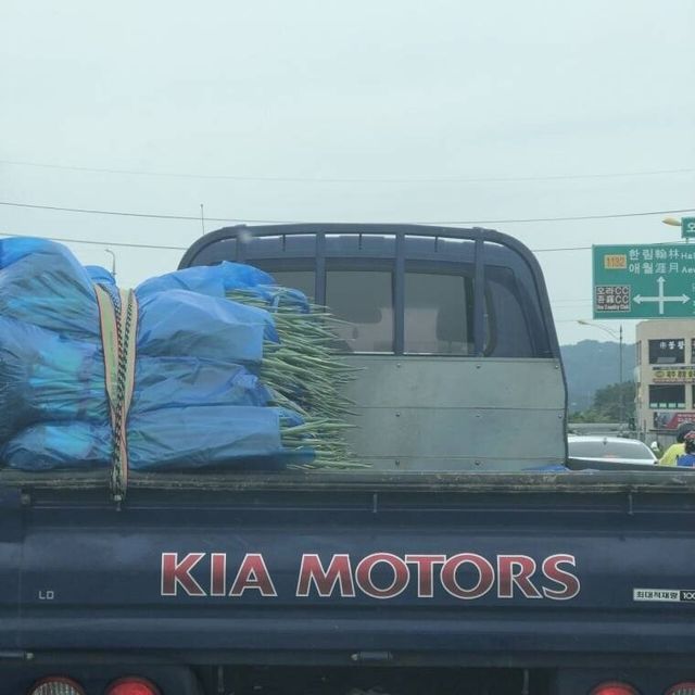 3fd484aa6ffd60a8ec986c287c7a6960.webp.ren.jpg 좌파들 좀 심각하네..