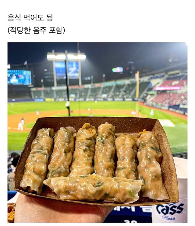 image.png 한국에서 야구 직관이 메이저가 될 수 있었던 이유.jpg
