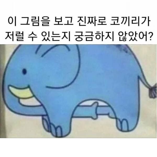 49ce58d2cfdf8b861d89c9f657dc7ed9.jpg 그닥 궁금하진 않았던 코끼리 코의 쓰임새