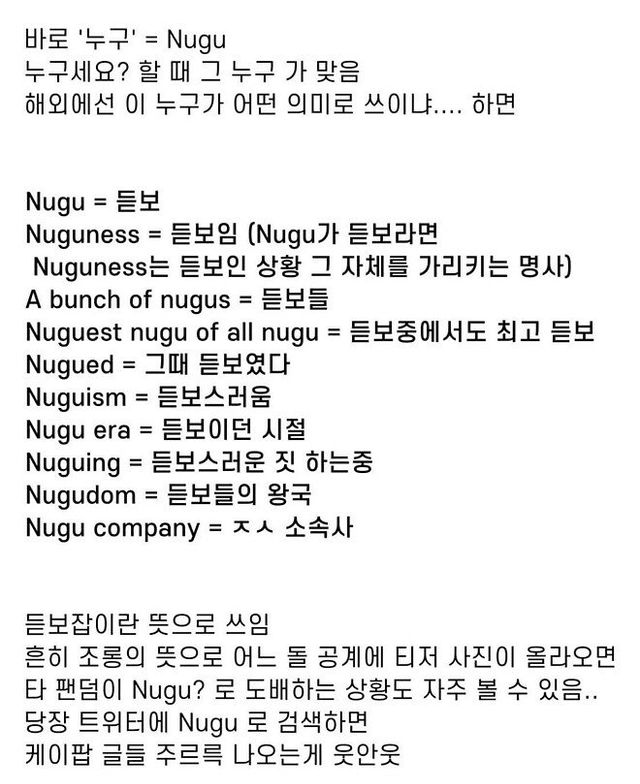 IMG_7856.jpeg 케이팝 유행으로 새로생긴 N-word