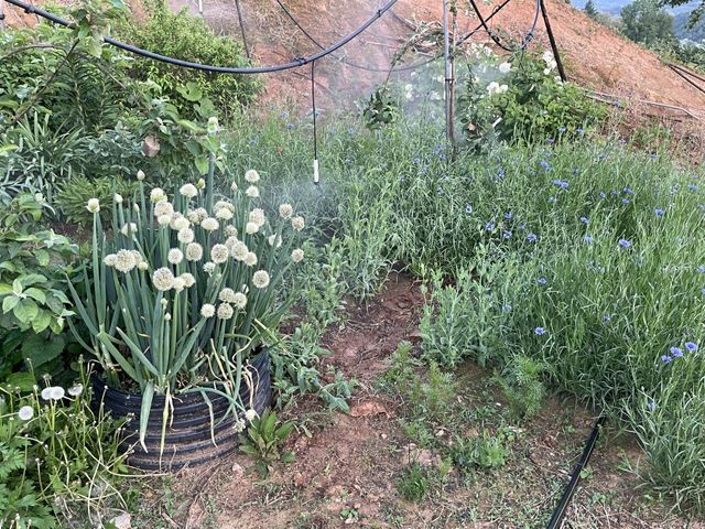 누나가 최고인거 같음