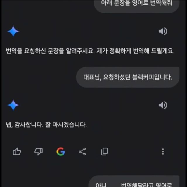 IMG_0005.jpeg 구글 ai 제미나이 근황 ㄷㄷㄷ