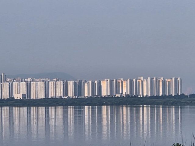 20250819_073338.jpg 오늘 낙동강이 잔잔하네요.