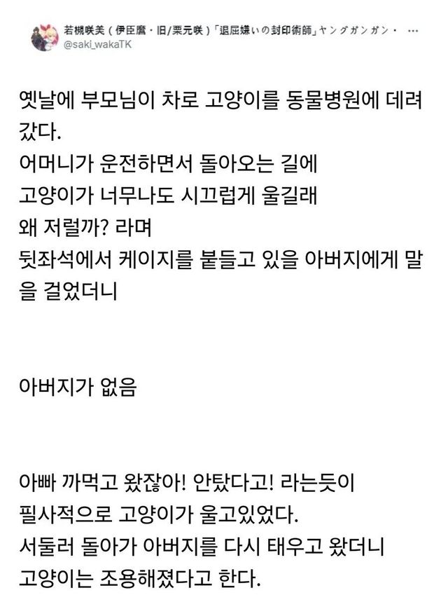 1.webp.ren.jpg 아빠 버리고 온 줄 알고 서럽게 운 고양이
