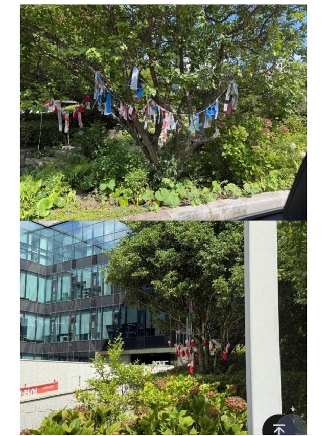 네오플 파업 근황