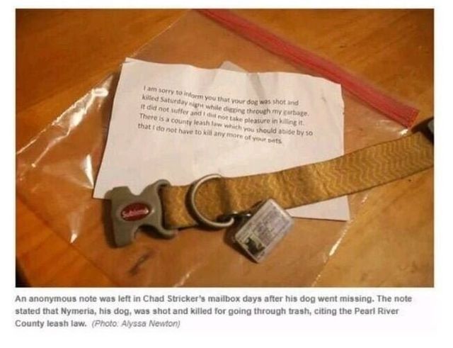 111.JPG 키우던 개가 10일 만에 목줄과 함께 편지로 돌아왔다