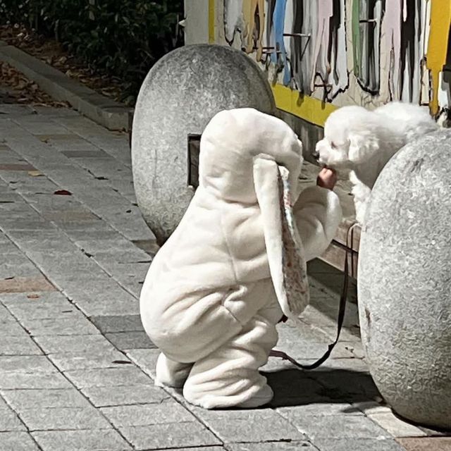 GyEjVScbUAA7bQ7.jpg 귀여움이 두배가 되는 상황.jpg