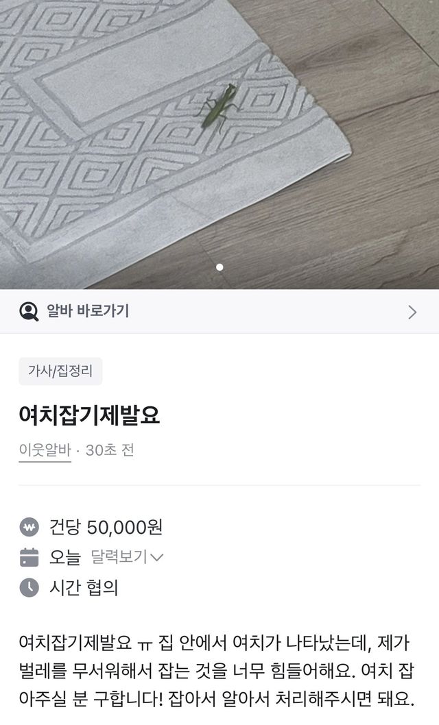 실시간 여치잡아주면 5만원준다는 당근마켓