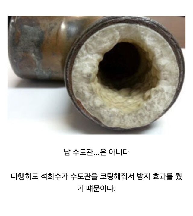 Screenshot_20250824_012837_Samsung Internet.jpg 로마 제국의 납 중독이 심각했던 이유.jpg