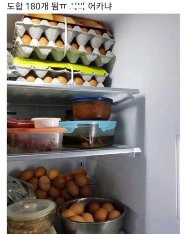 우리집 통신 꼬여서 달걀 180개 됨