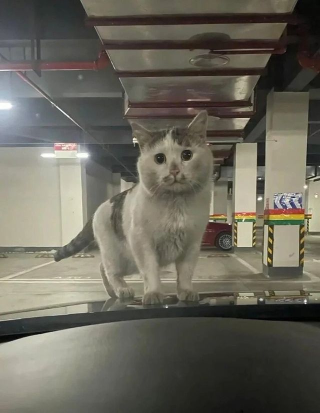 넌 뭐냐? 좀 꺼져