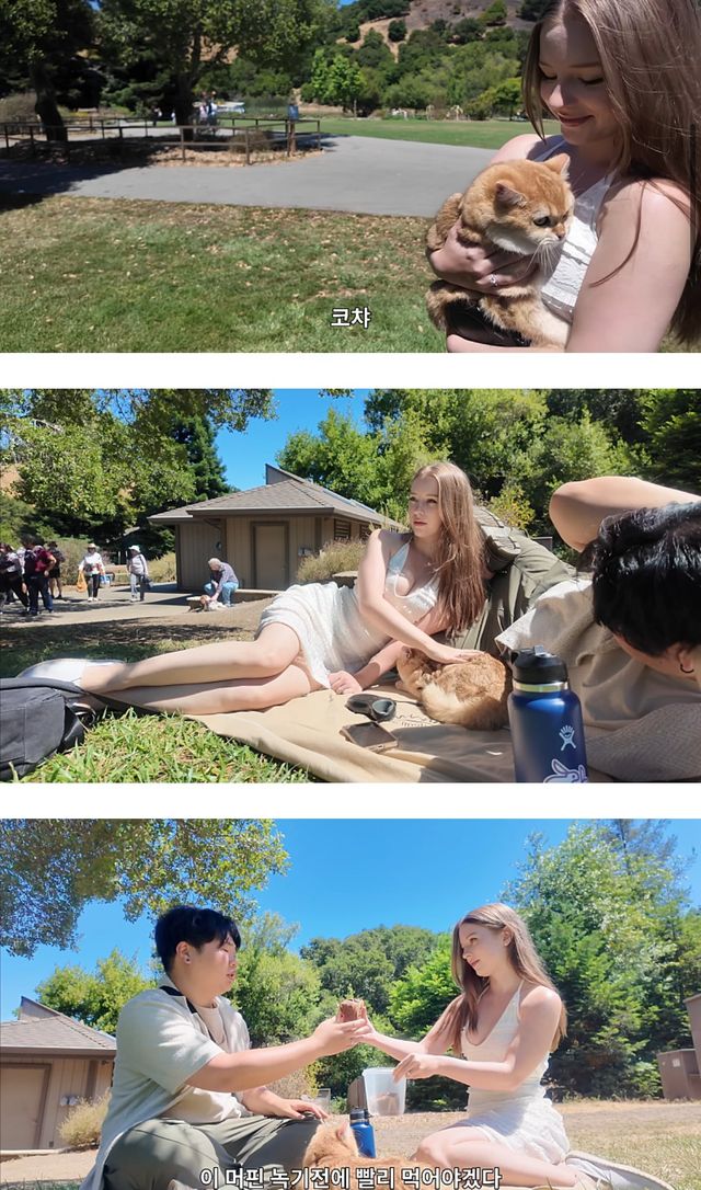 영상 본 시청자들 또 개빡치게한 국제 커플.jpg