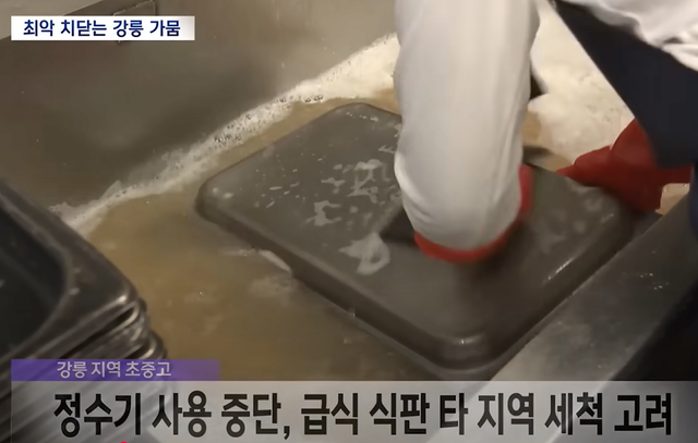 1.png 재난사태 선포한 강릉 근황 ㄷㄷㄷ jpg