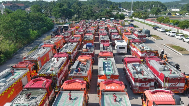 1.png 재난사태 선포한 강릉 근황 ㄷㄷㄷ jpg