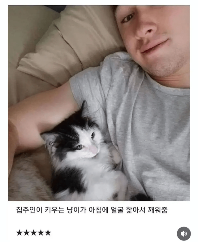 image.png 에어비앤비 숙소 별점 5점 준 이유