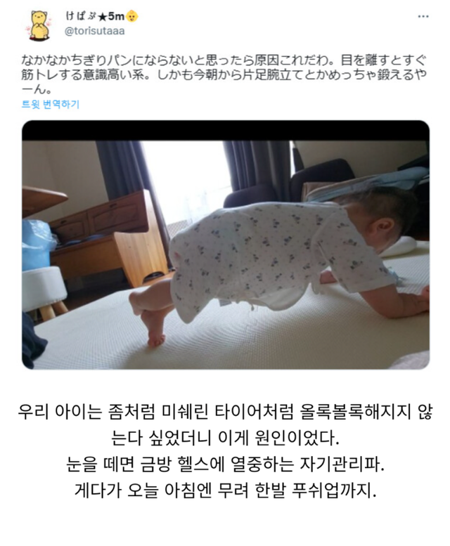 아기가 살이 왜 안찌는지 궁금했던 부부.jpg