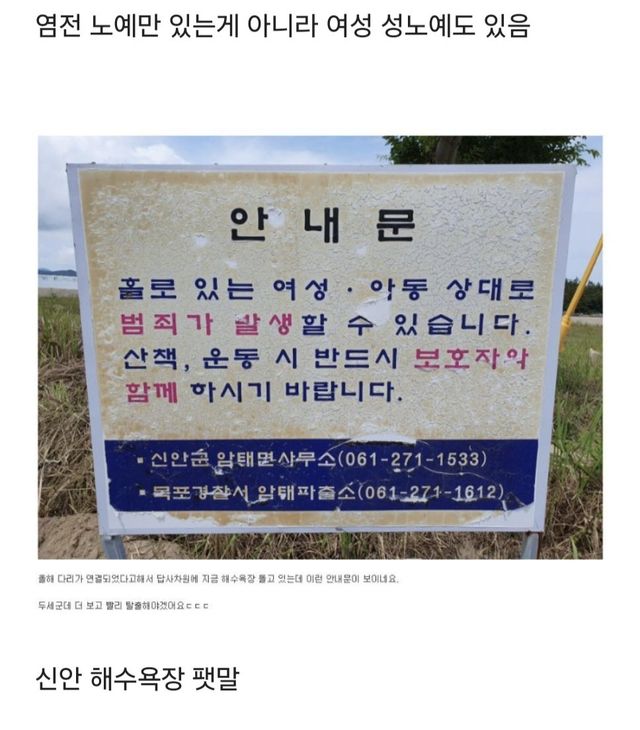 KakaoTalk_20250901_085408544.jpg 배우 김청이 신안에서 겪은 큰일날 뻔한 경험