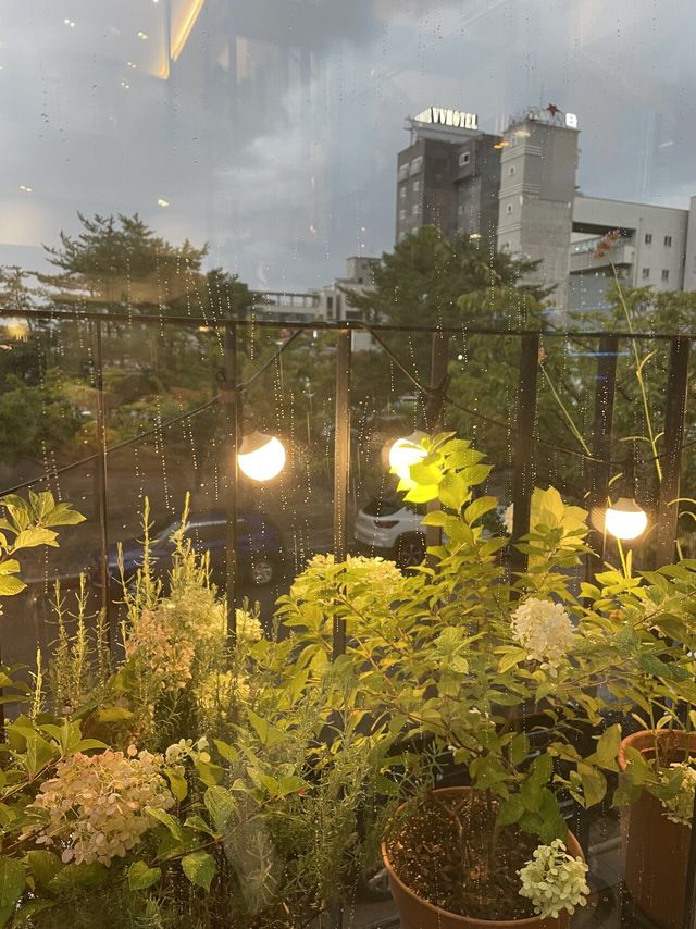 강릉 현재 상황