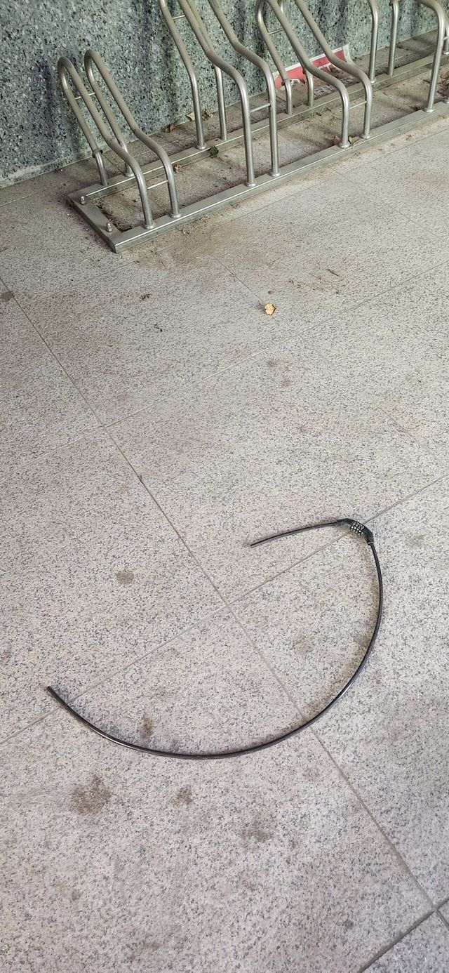 내 자전거 누가뽀려감